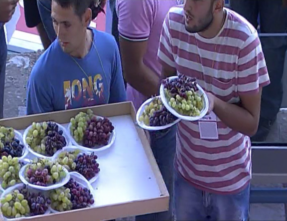 platanias_hospitality6